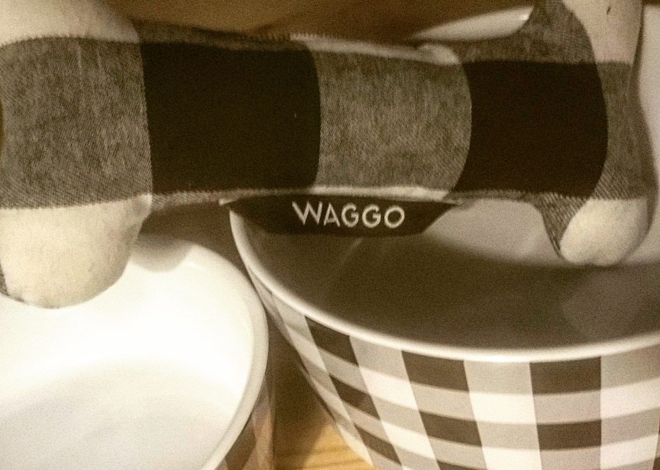 Waggo-nytt!